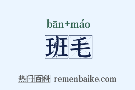 班毛是什么意思的图片